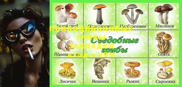 винт Магас