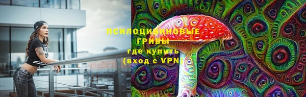 винт Магас