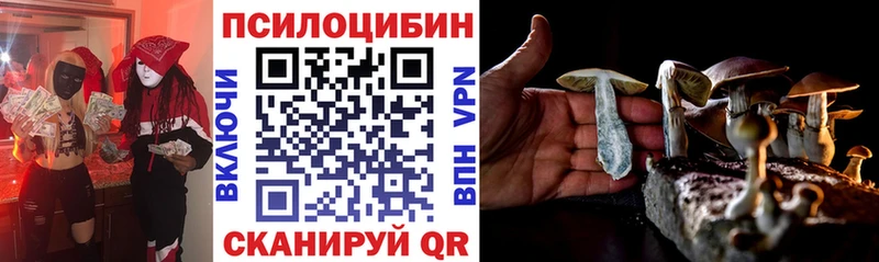 Псилоцибиновые грибы Psilocybe  Купить  Хвалынск 